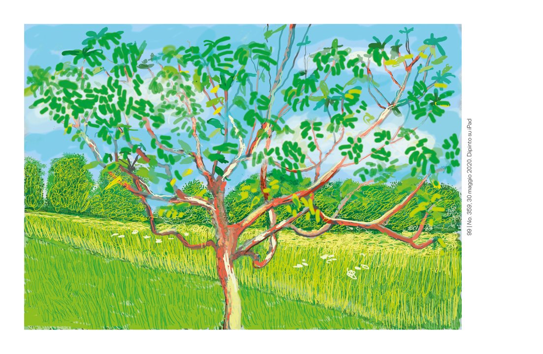 David Hockney - L'arrivo della primavera, Normandia